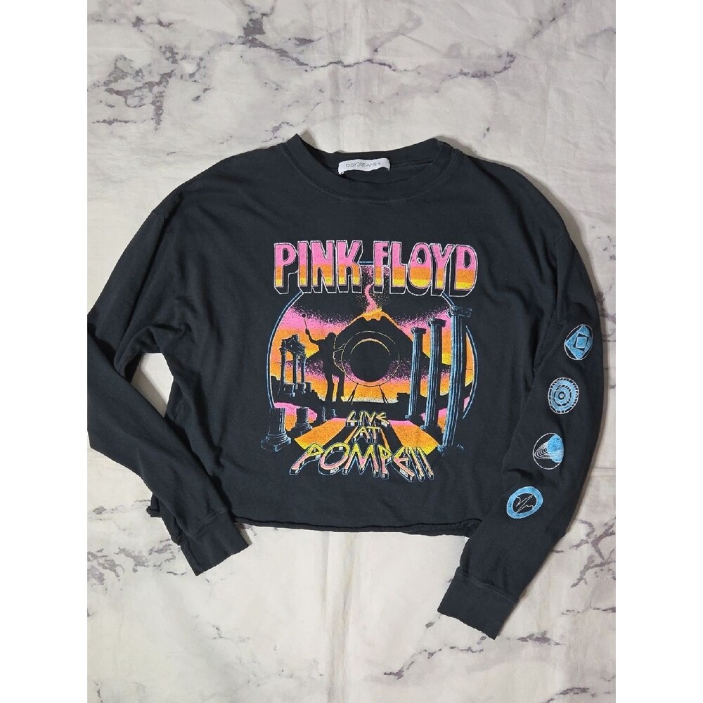 Daydreamer Pink Floyd Live At Pompeii Gray Cropped Long Sleeve